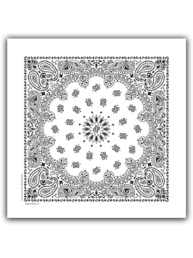 BAN28 Paisley Bandana White Scarf