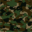 Camouflage Green